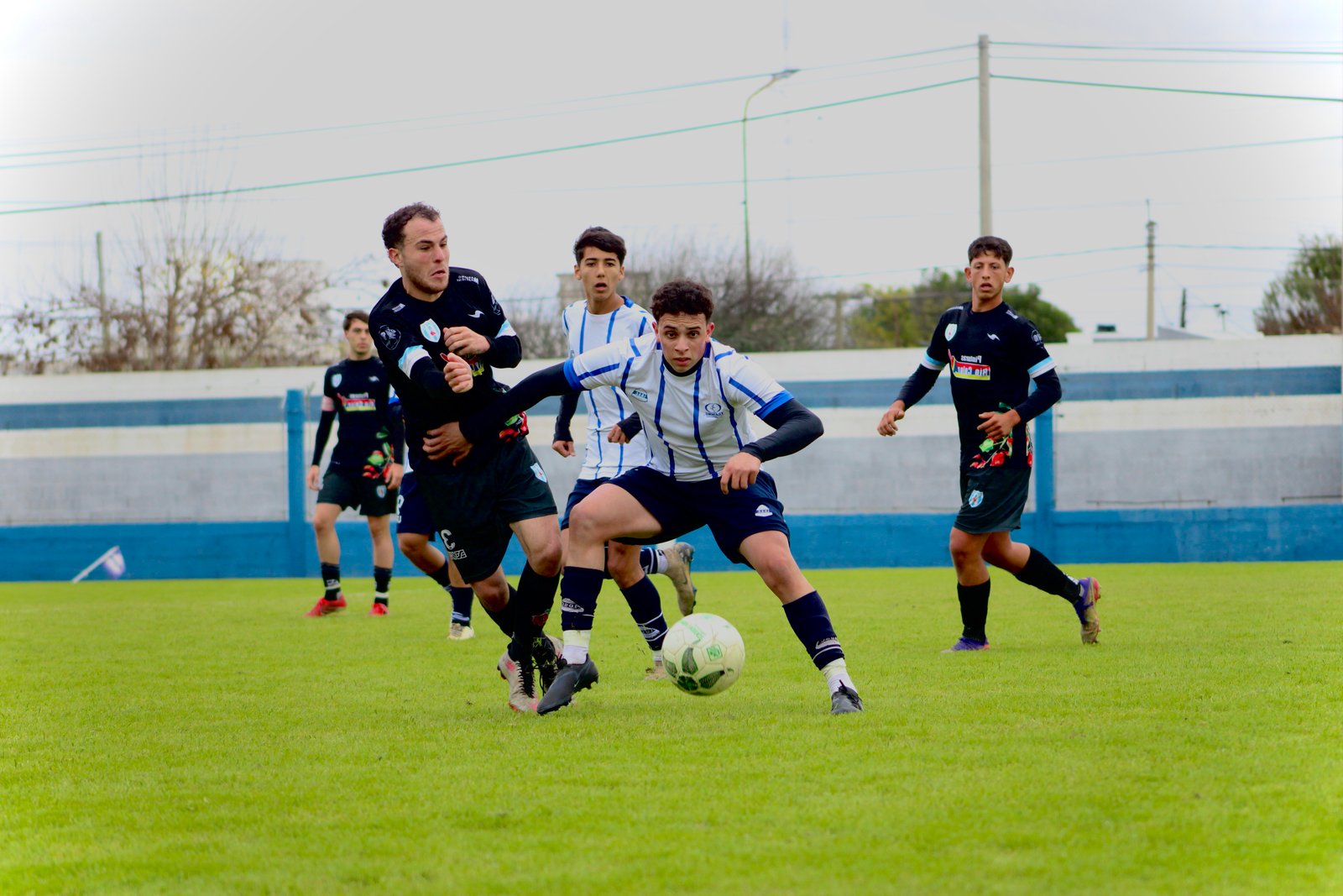 Imagen 2