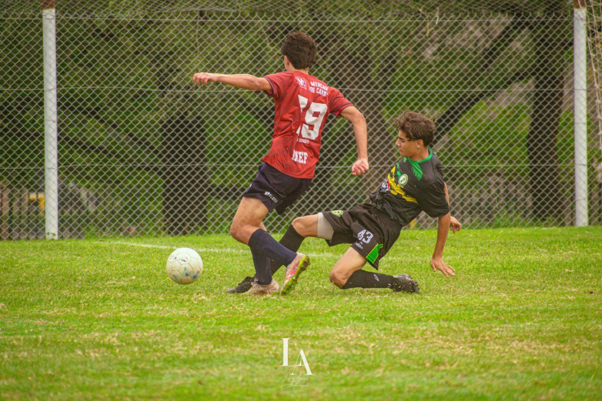 Imagen 1